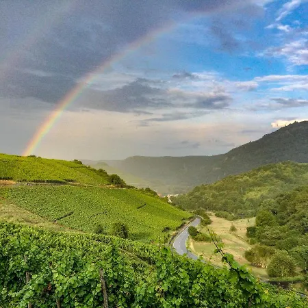 Apartment Winetime Oberhausen an der Nahe