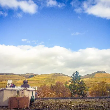 Winetime Apartment Oberhausen an der Nahe