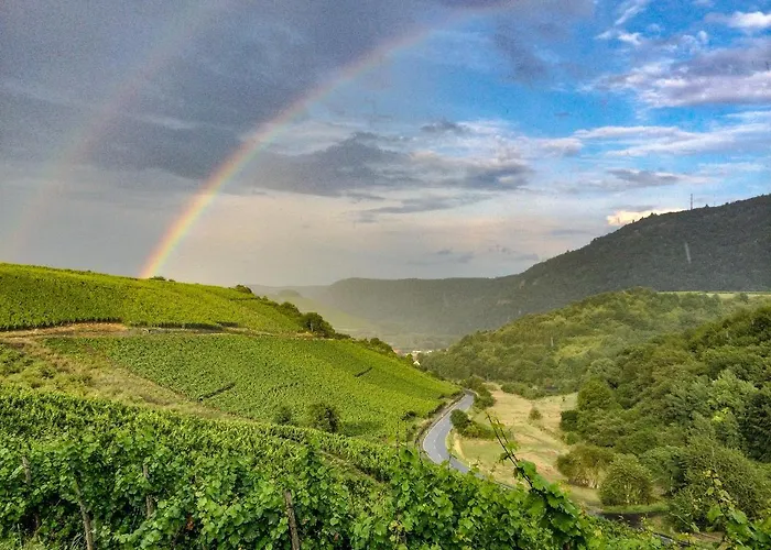 Lejlighed Winetime Oberhausen an der Nahe